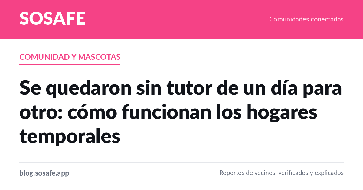 Hogar temporal para mascotas: cómo funciona
