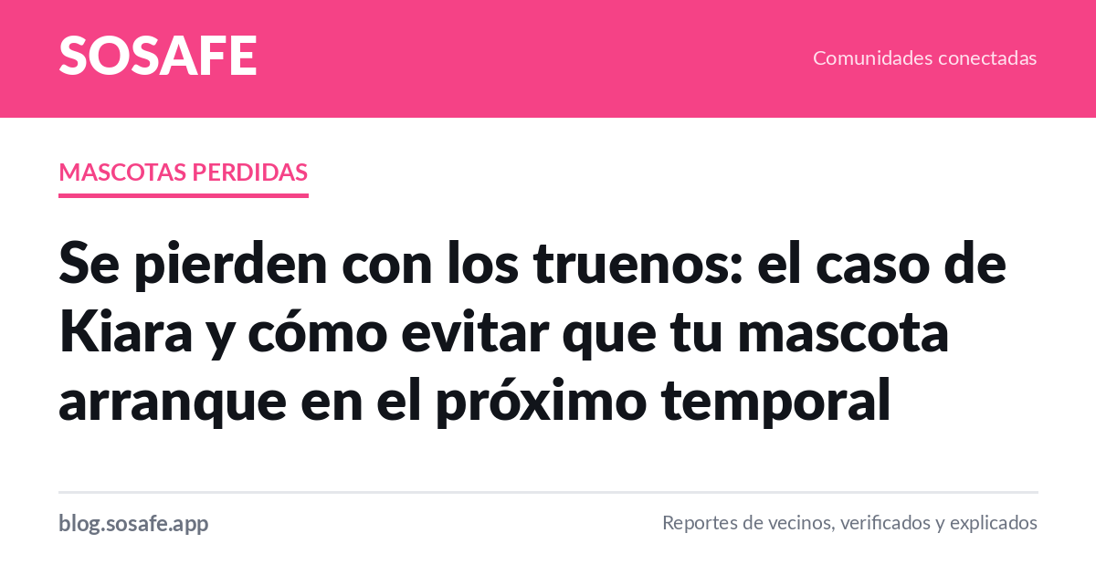Mi perro se arranca con los truenos: qué hacer