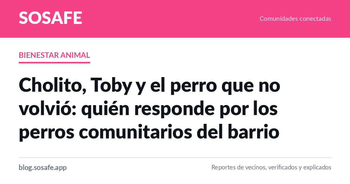 Perros comunitarios: quién responde cuando los agreden