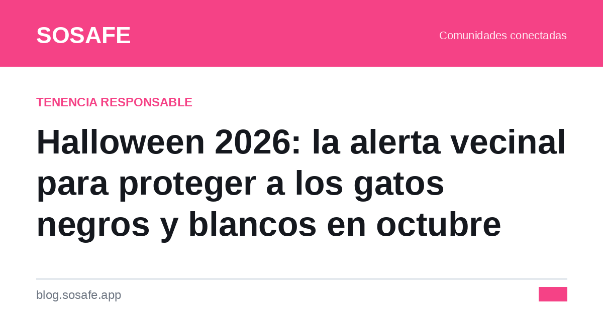 Gatos negros y Halloween: cómo protegerlos en octubre