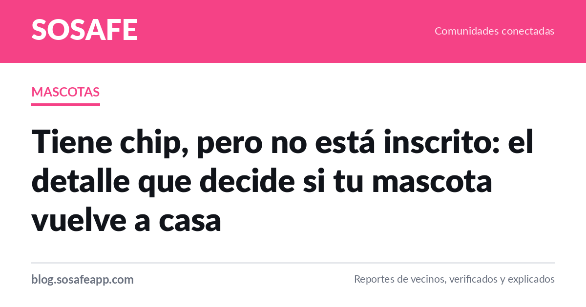 Tiene chip pero no está inscrito: cómo regularizarlo