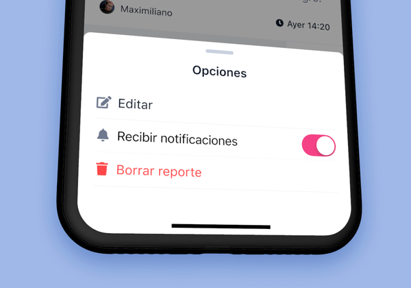 Cómo editar tu reporte 📝