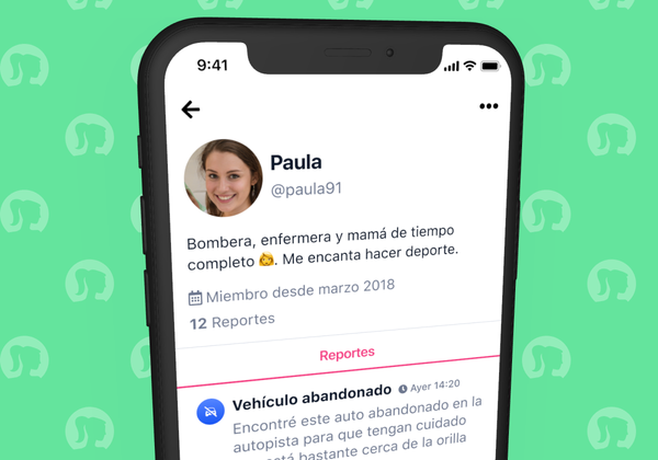 Nuevo: Perfiles 👤