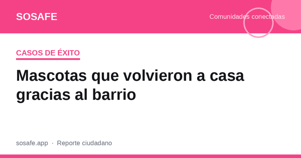 Mascotas que volvieron a casa gracias a los vecinos