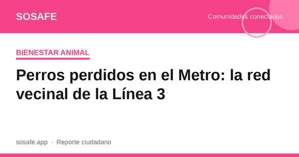 Perros perdidos en el Metro: la red vecinal de la Línea 3