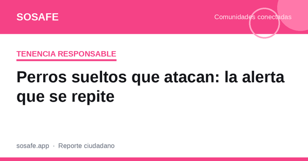 Perros sueltos que atacan: tenencia responsable en Chile