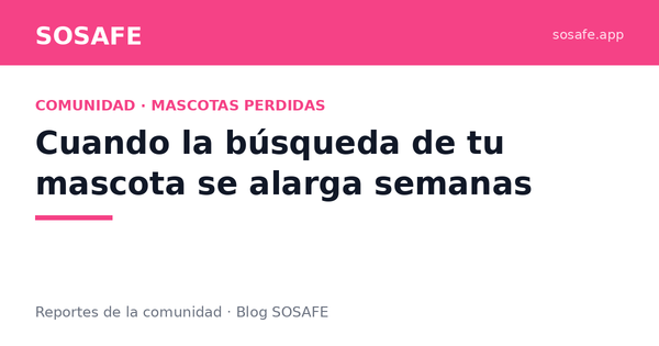 Mi mascota lleva semanas perdida: qué hacer ahora
