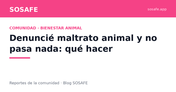 Denuncié maltrato animal y no pasa nada: qué hacer
