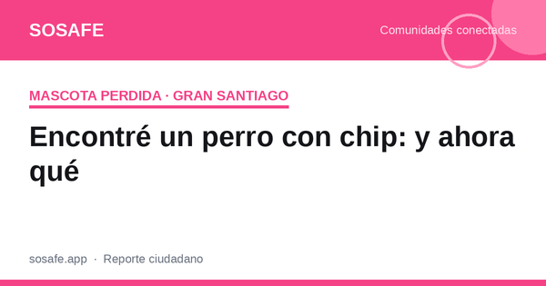Encontré un perro con chip: cómo consultar el registro