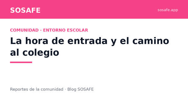 Entorno escolar: los dos puntos que inquietan a apoderados