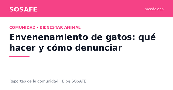 Envenenamiento de gatos: señales, urgencia y denuncia