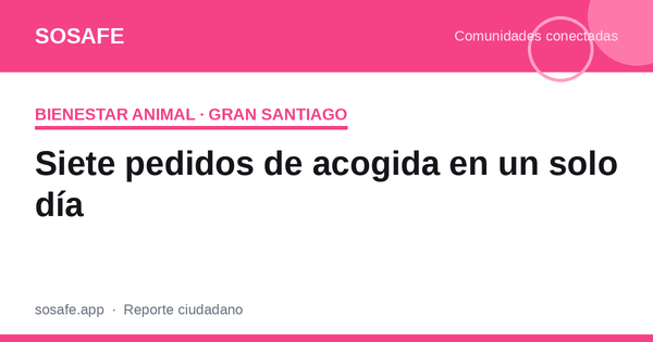 Hogar temporal para perros rescatados en Santiago