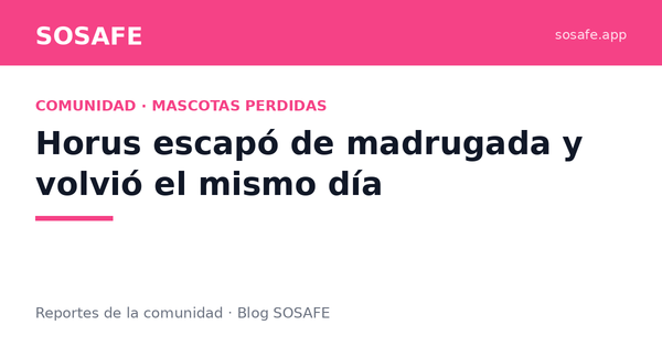 Horus escapó de madrugada y volvió a casa el mismo día
