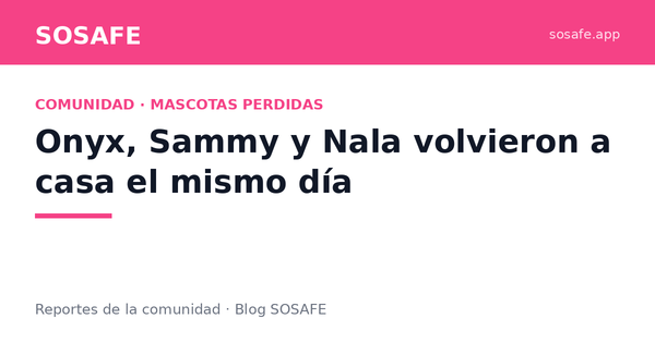 Onyx, Sammy y Nala volvieron a casa el mismo día