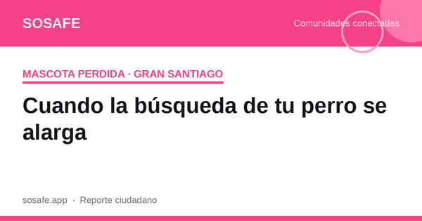 Mi perro lleva meses perdido: qué hacer ahora