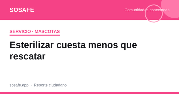 Esterilización y vacunas a bajo costo: cuánto cuestan