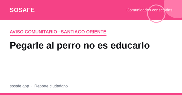 Pegarle al perro no es educarlo: qué dice la ciencia