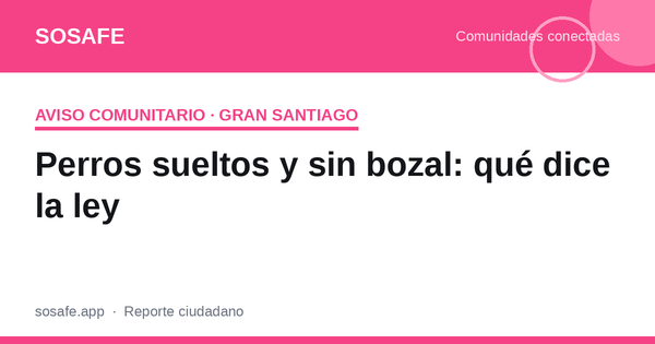 Perros sueltos y sin bozal: qué exige la ley en Chile