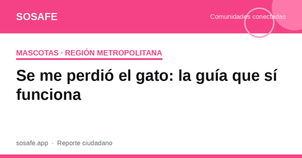 Se me perdió el gato: la guía de búsqueda que funciona
