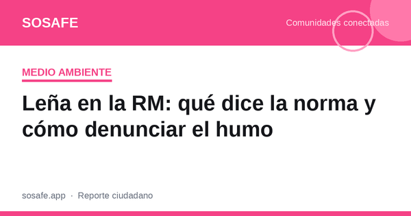 ¿Se puede usar leña en la RM? La norma y cómo denunciar
