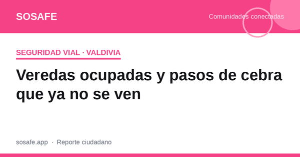 Seguridad vial en Valdivia: veredas y pasos de cebra