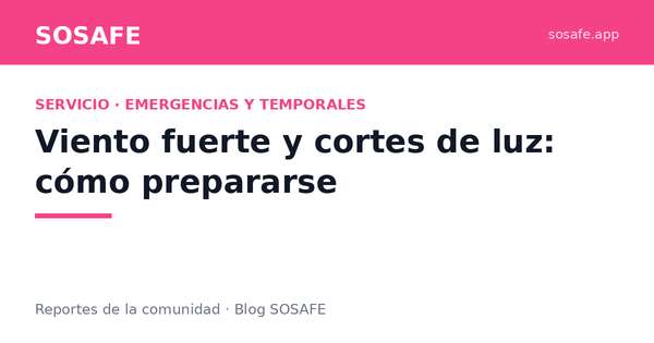 Viento y cortes de luz: cómo prepararse y qué reportar