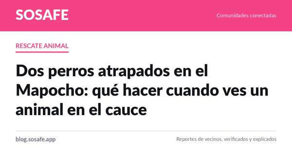 Animal atrapado en el cauce: a quién llamar