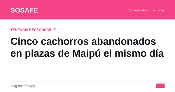 Cachorros abandonados en Maipú: cómo los rescataron