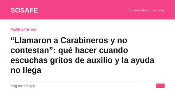 Carabineros no llega: qué hacer si escuchas gritos