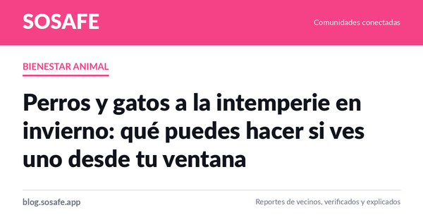 Mascota a la intemperie en invierno: qué hacer