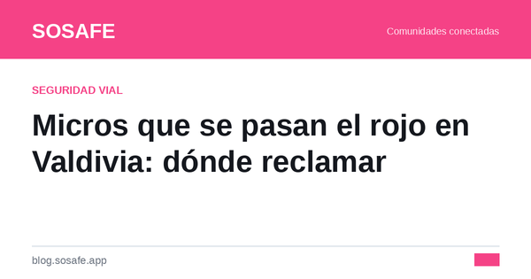 Micros que se pasan el rojo en Valdivia: dónde reclamar