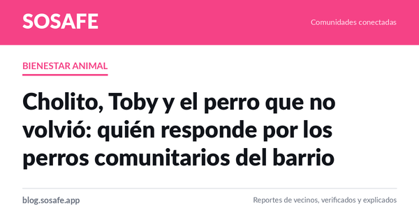 Perros comunitarios: quién responde cuando los agreden