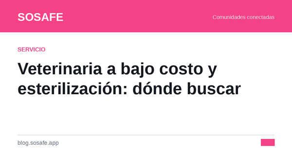 Veterinaria a bajo costo y esterilización: dónde buscar