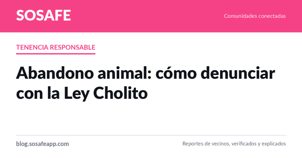 Abandono animal: cómo denunciar con la Ley Cholito