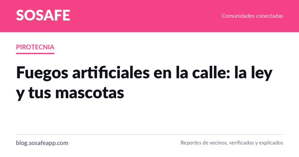 Fuegos artificiales en la calle: la ley y tus mascotas