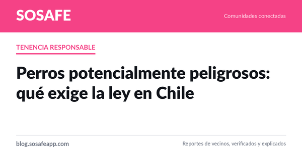 Perros potencialmente peligrosos: qué exige la ley