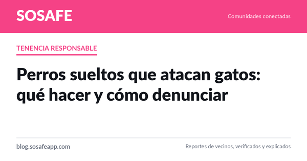Perros sueltos que atacan gatos: qué hacer y cómo denunciar