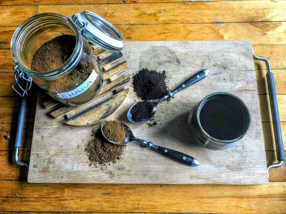 Chaga, your new best friend!