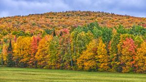 5 natural products to get autumn to a good start.
