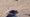 Ipsum Dolore Consequat