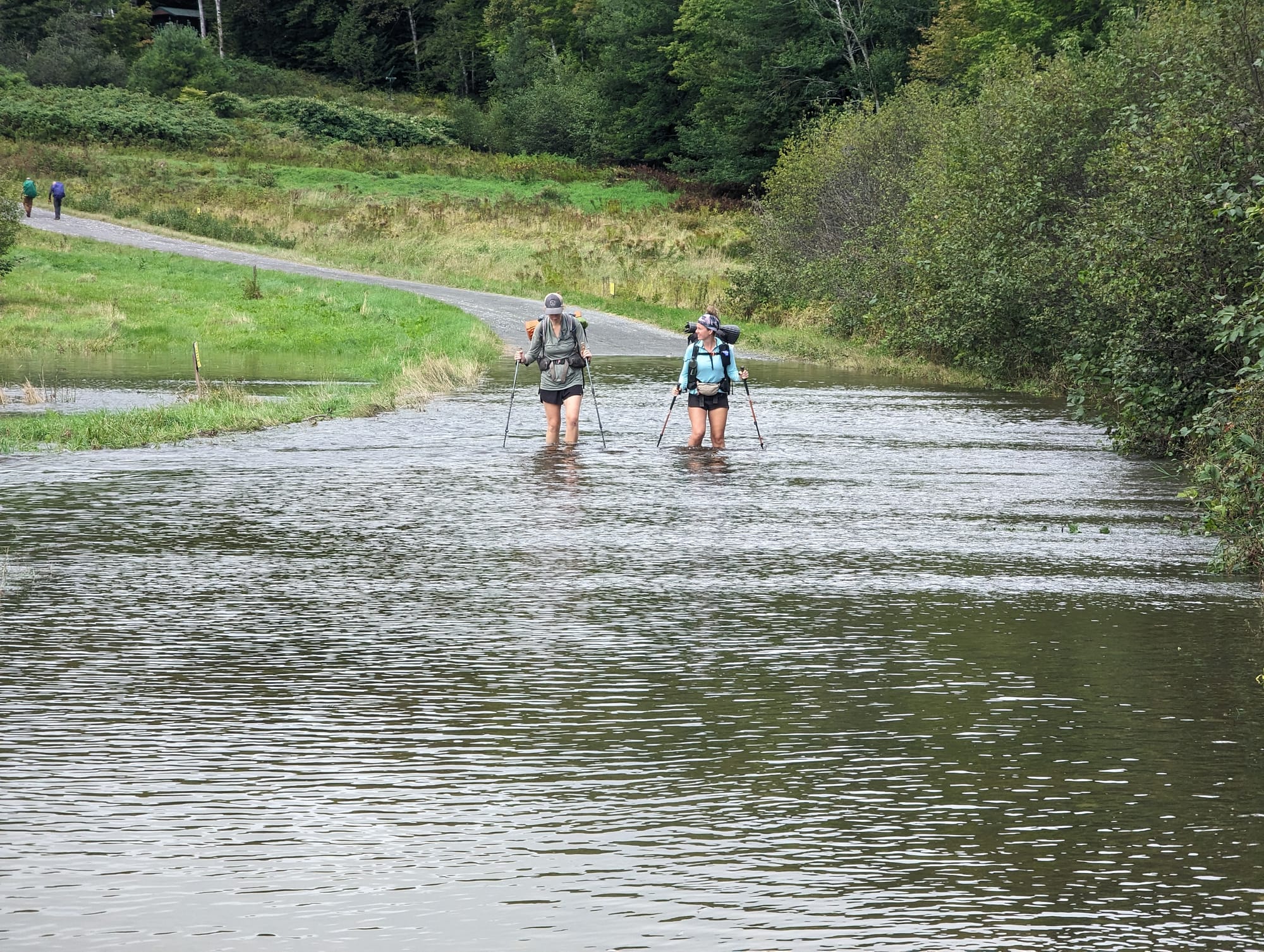 Two backpackers wading across a flooded road during the 100-Mile Wilderness.