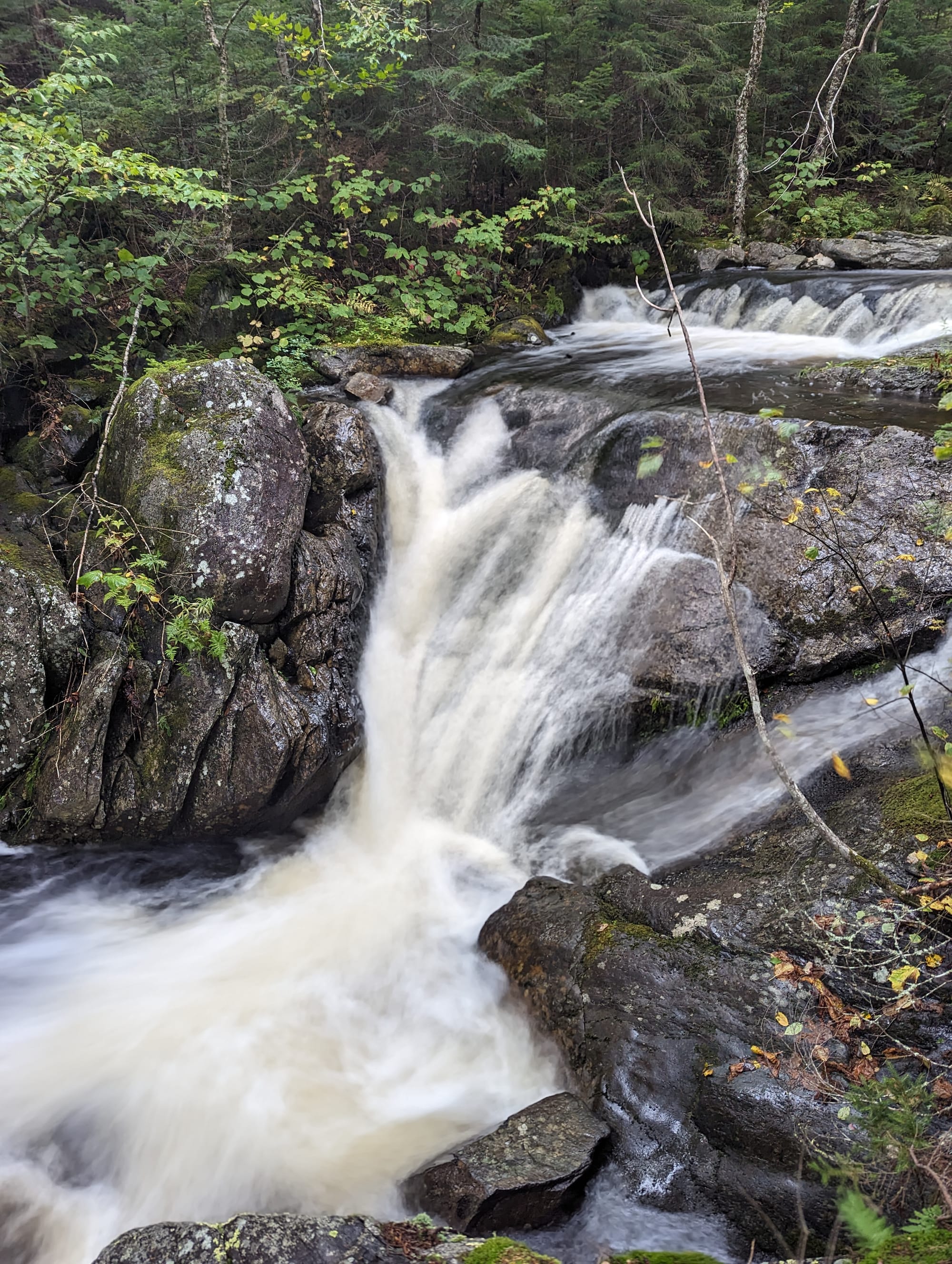 Whitewater cascading over dark rocks through dense Maine forest in the 100-Mile Wilderness.