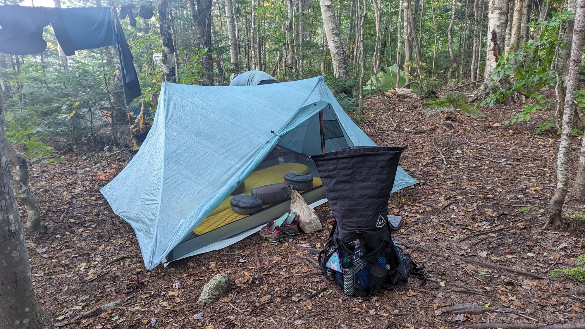 Ultralight backpacking tent pitched beneath hardwood trees in the 100-Mile Wilderness.