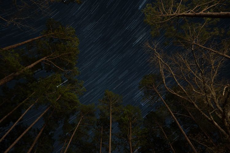 Paul B Johnson State Park