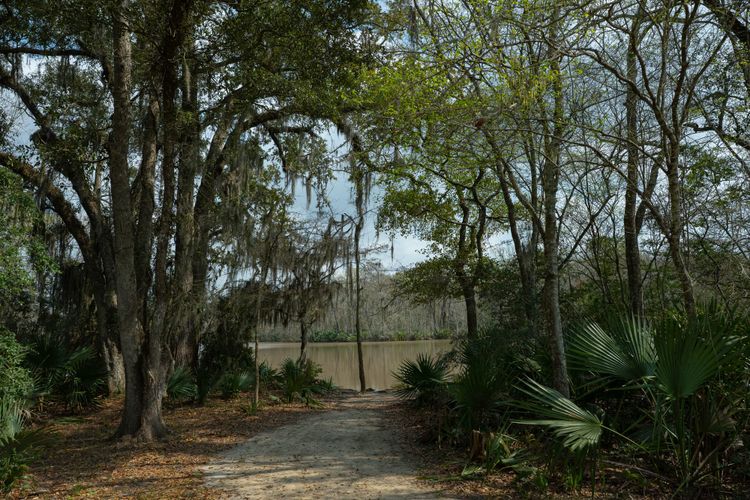 Palmetto Island State Park