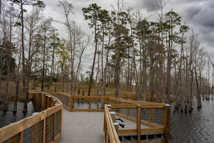 Sam Houston Jones State Park