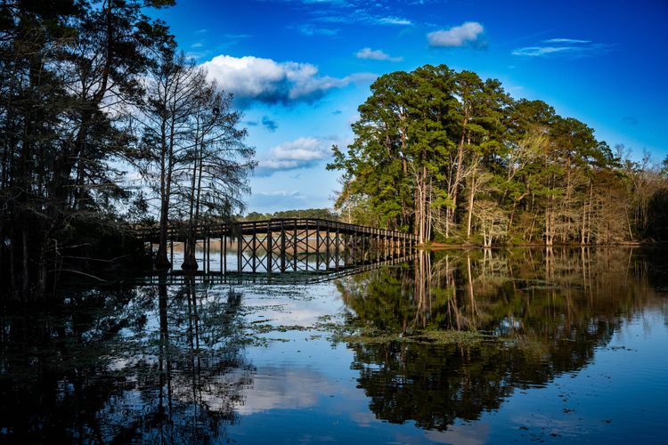Martin Dies Jr. State Park