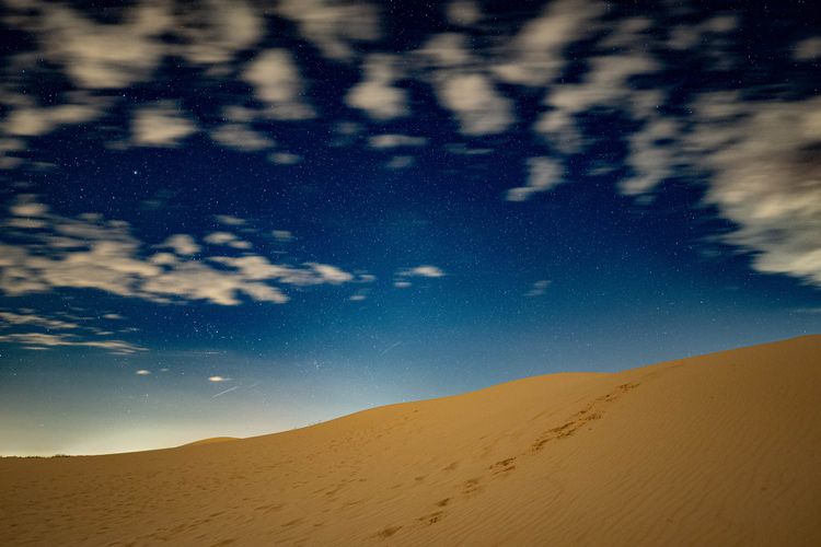 Monahans Sandhills State Park