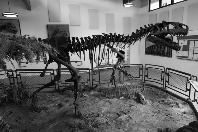 Jurassic National Monument