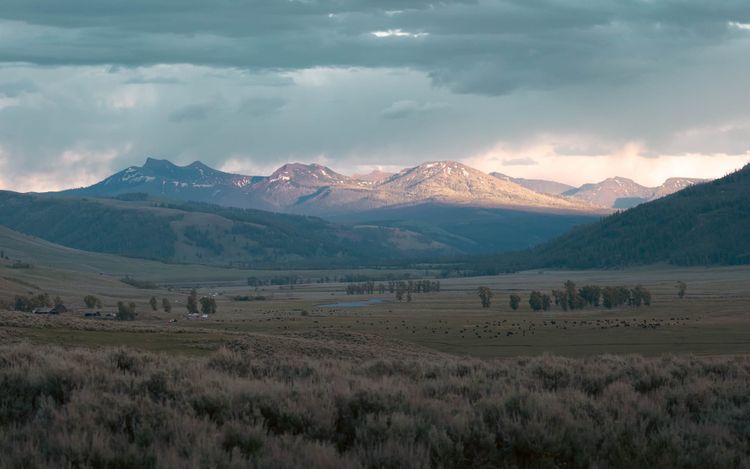 Yellowstone National Park | Beyond the Boardwalks